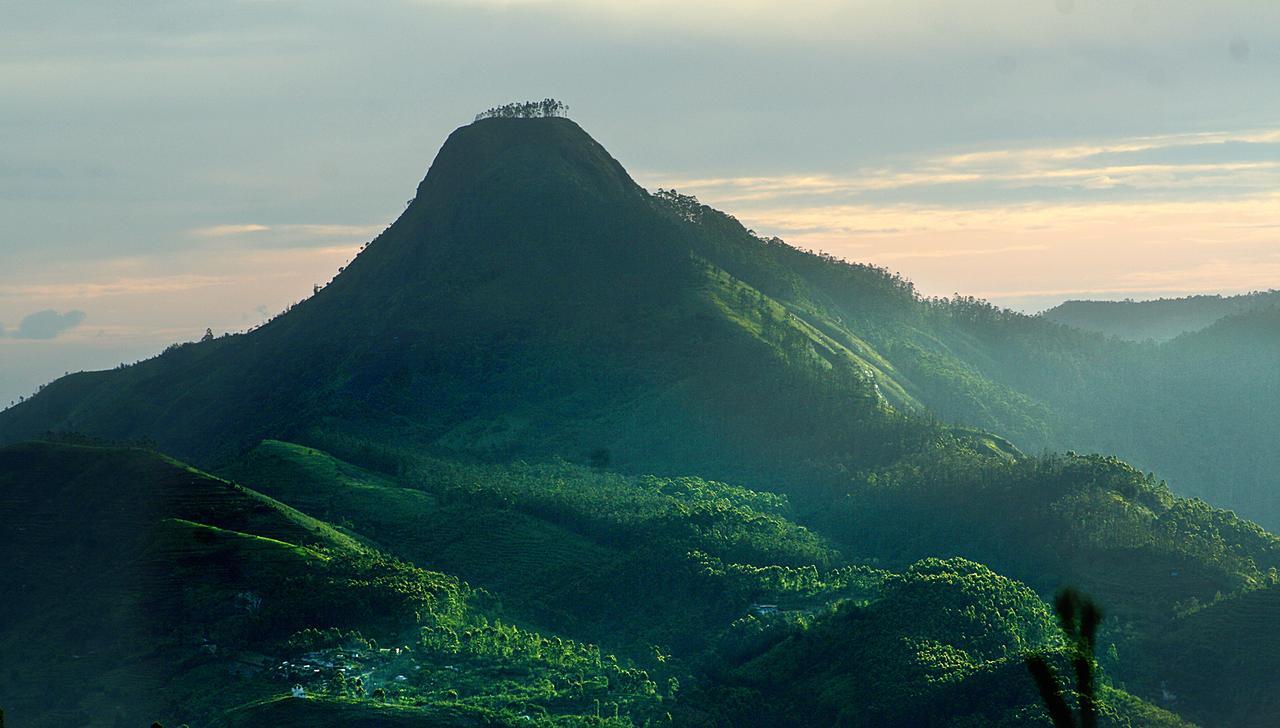 Villa Retreat - Boutique Hotel Kodaikanal Ngoại thất bức ảnh